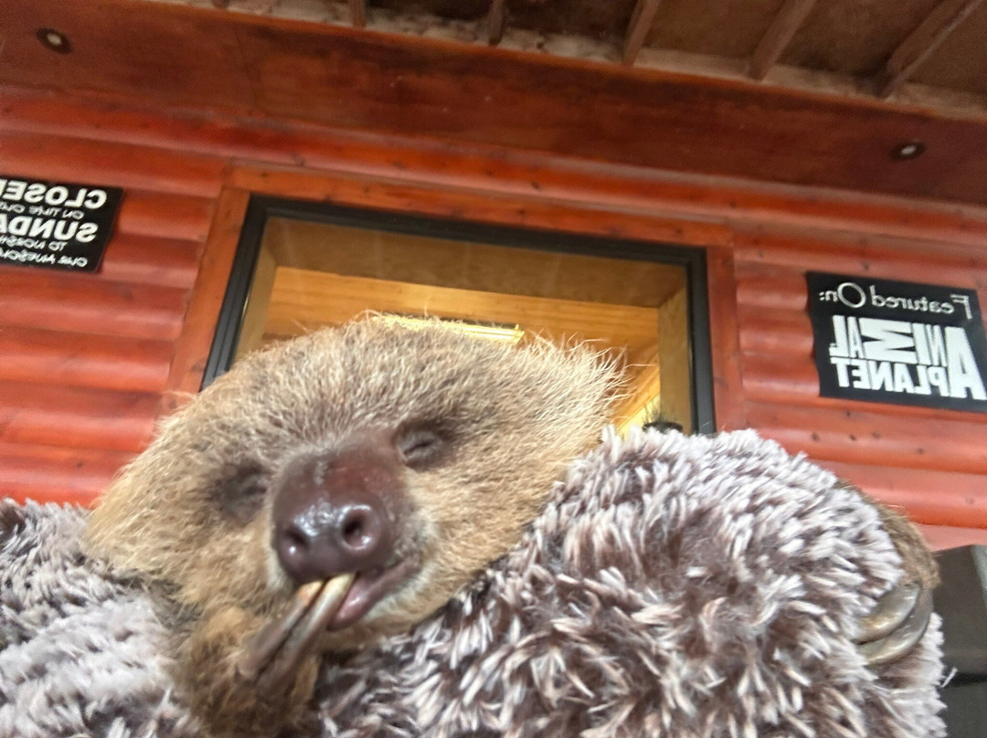 Safari Zoological Park-Caney必去景点