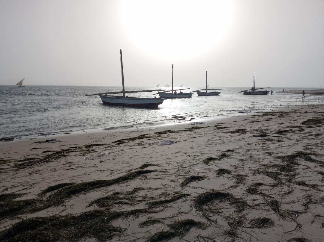 Amatlich tours-Chinguetti必去景点