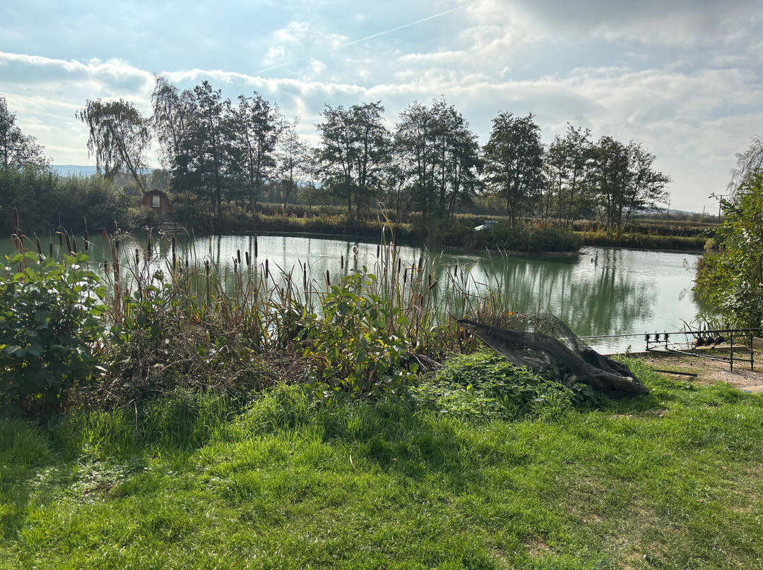 Burton Springs Fishing and Holidays-布里奇沃特必去景点