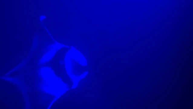 海洋天堂之旅-凯鲁瓦-柯纳必去景点