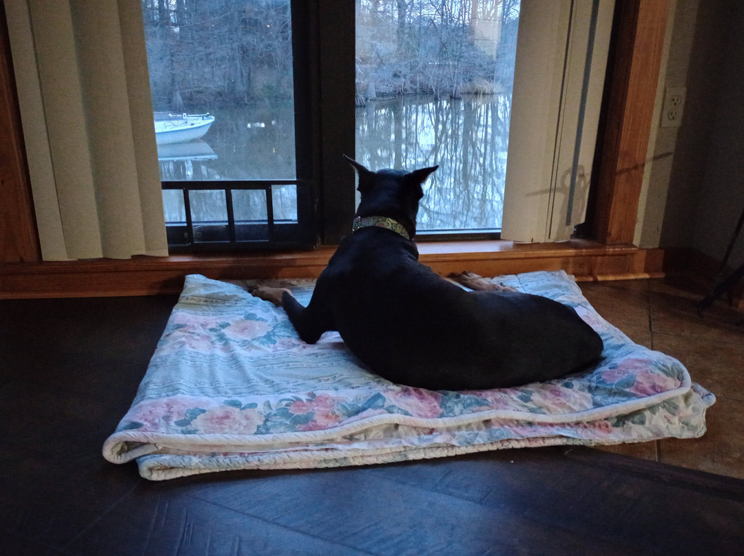 Chicot State Park-Ville Platte必去景点