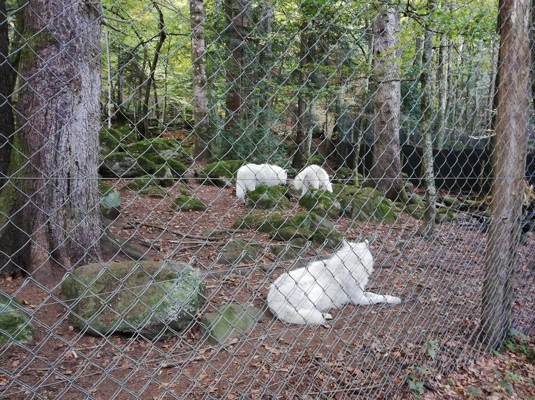 La Maison des Loups-奥尔吕必去景点