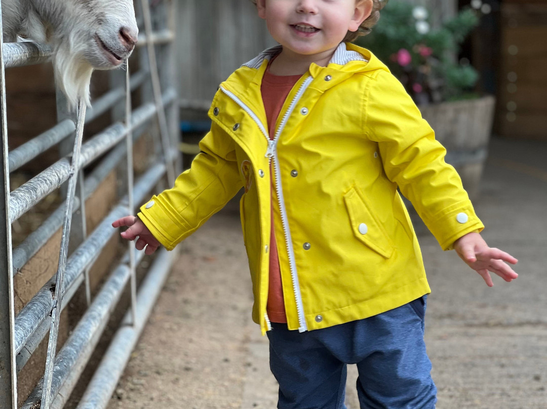 Pennywell Farm-Buckfastleigh必去景点