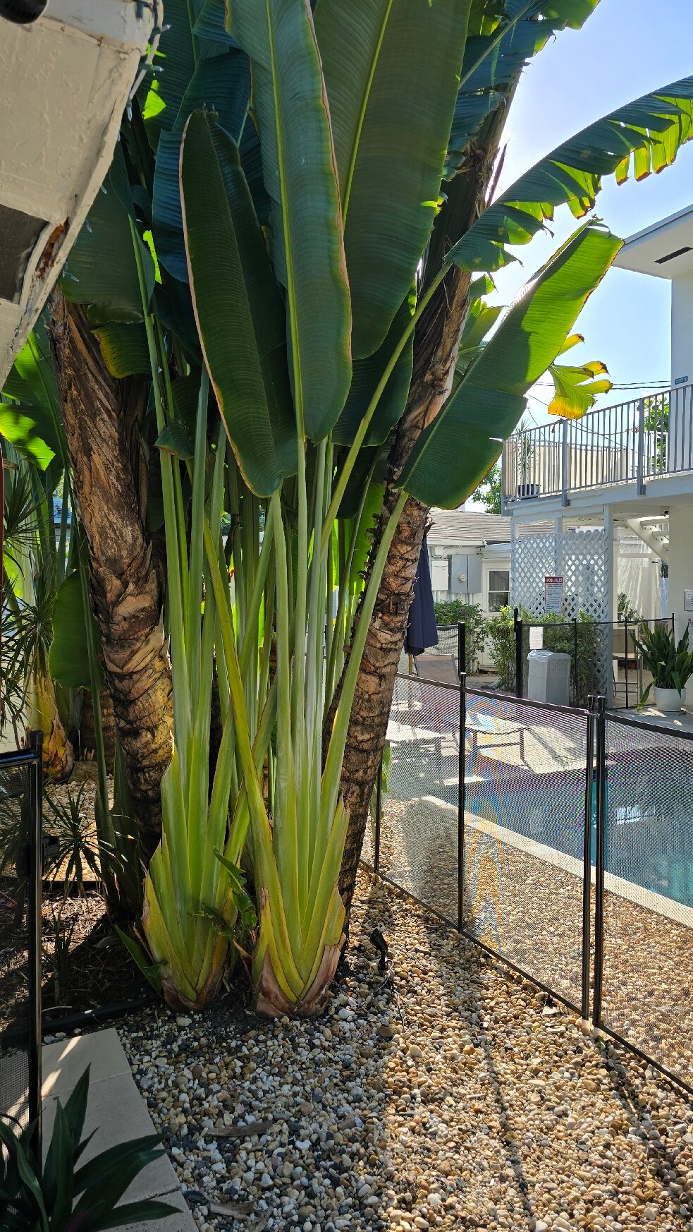 Inn On The Drive-官方