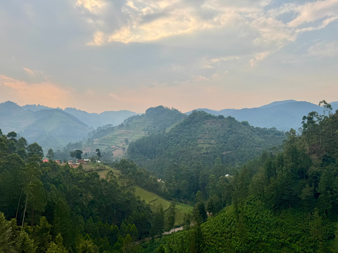 Buutu Safaris-金贾必去景点