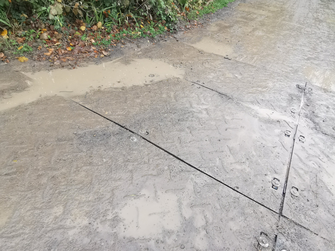 Bristol Zoo Project-Easter Compton必去景点