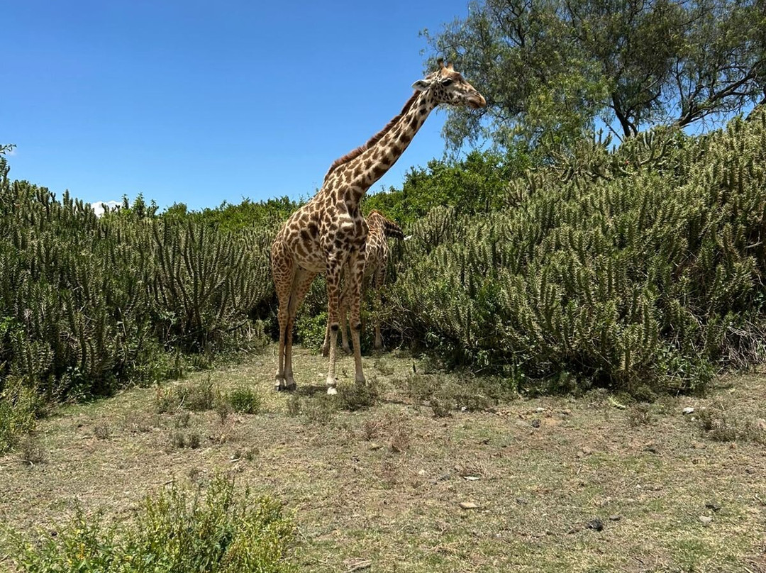 Lordstown Travel-Karen必去景点