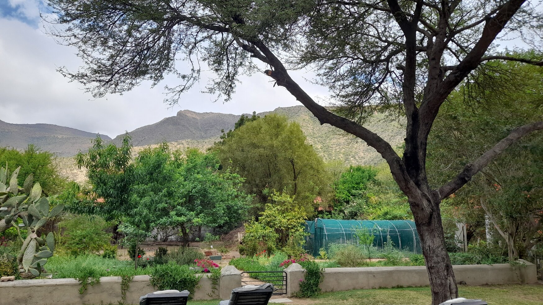 The Whyte House-官方