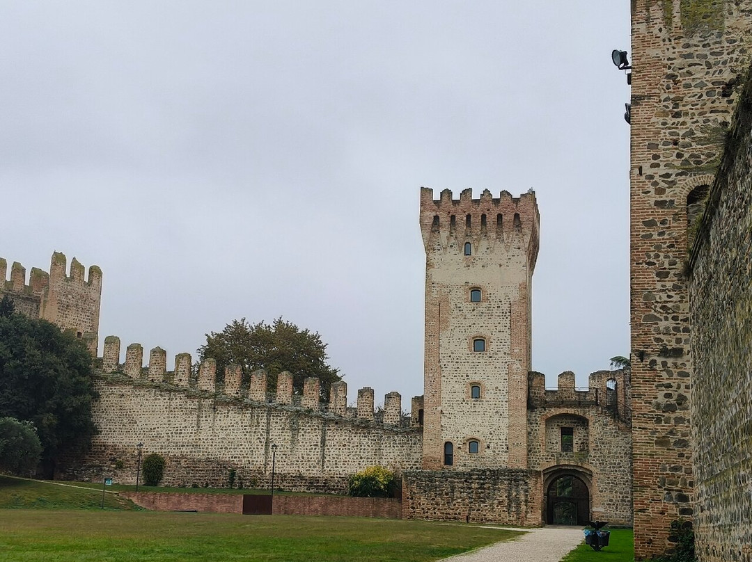 Castello Carrarese-Este必去景点