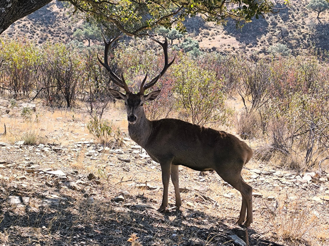 Birding Naturaleza-Plasencia必去景点