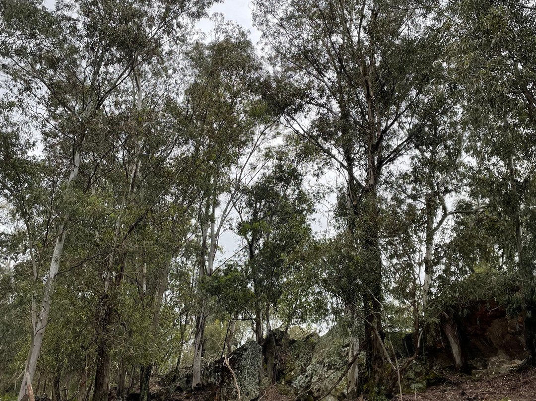 Canela Do Mato-Santana do Livramento必去景点