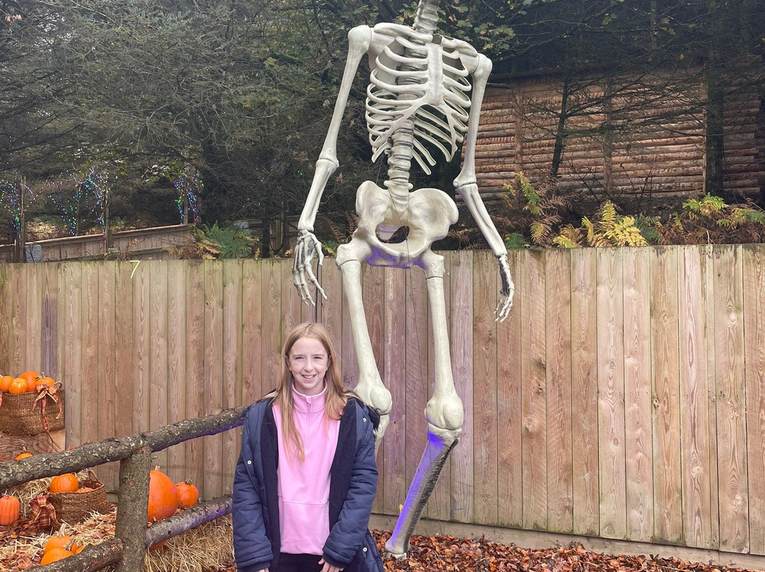 Luggwoods-Saggart必去景点