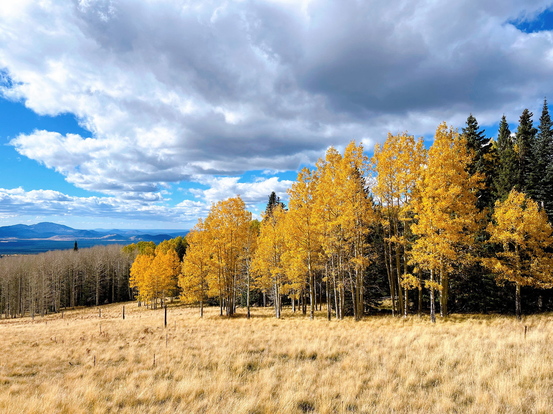Arizona Snowbowl-弗拉格斯塔夫必去景点