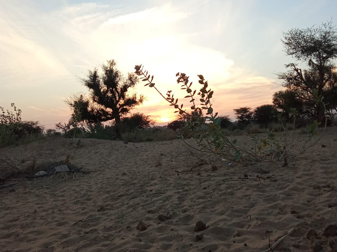 Sunset Nature view point - near jodhpur-Balesar必去景点