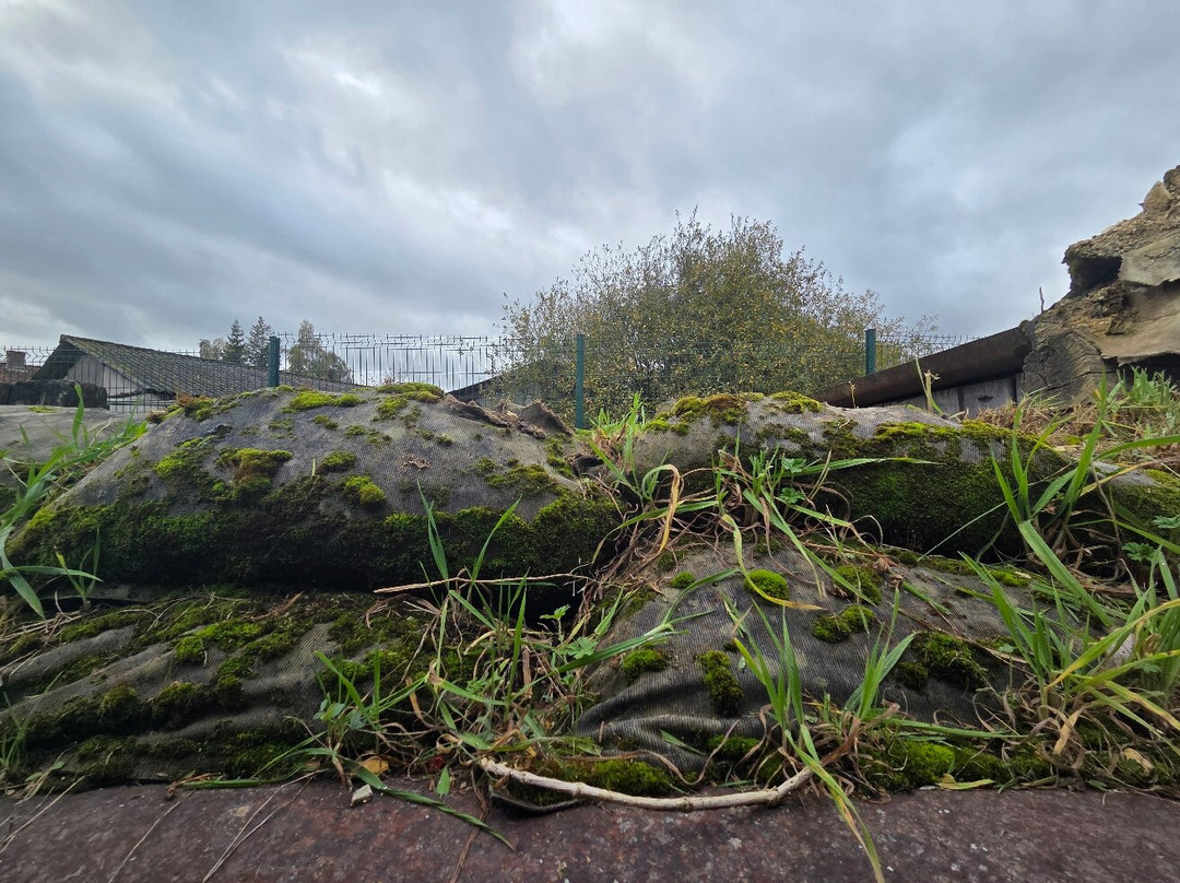 La Tranchée de Chattancourt-Chattancourt必去景点