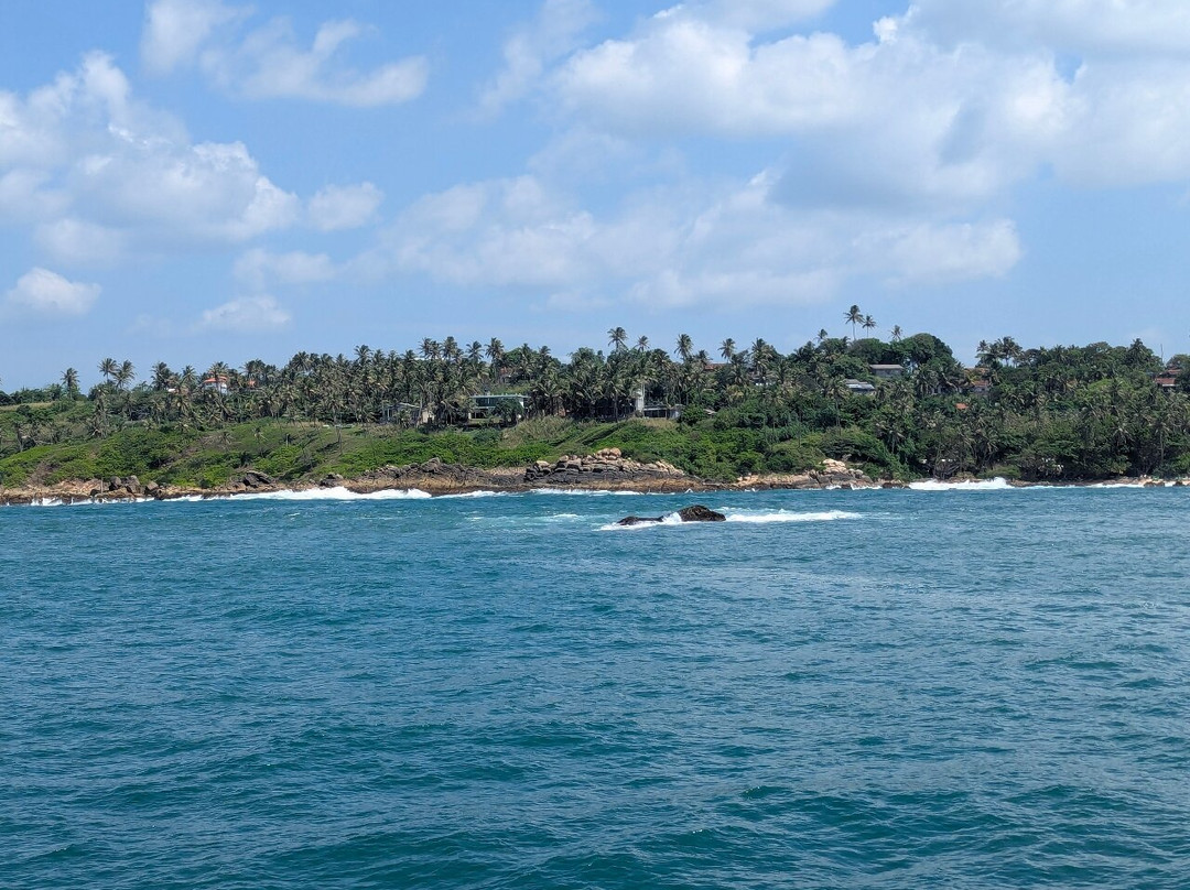 Eagle Eye Whale Watching-美蕊沙必去景点