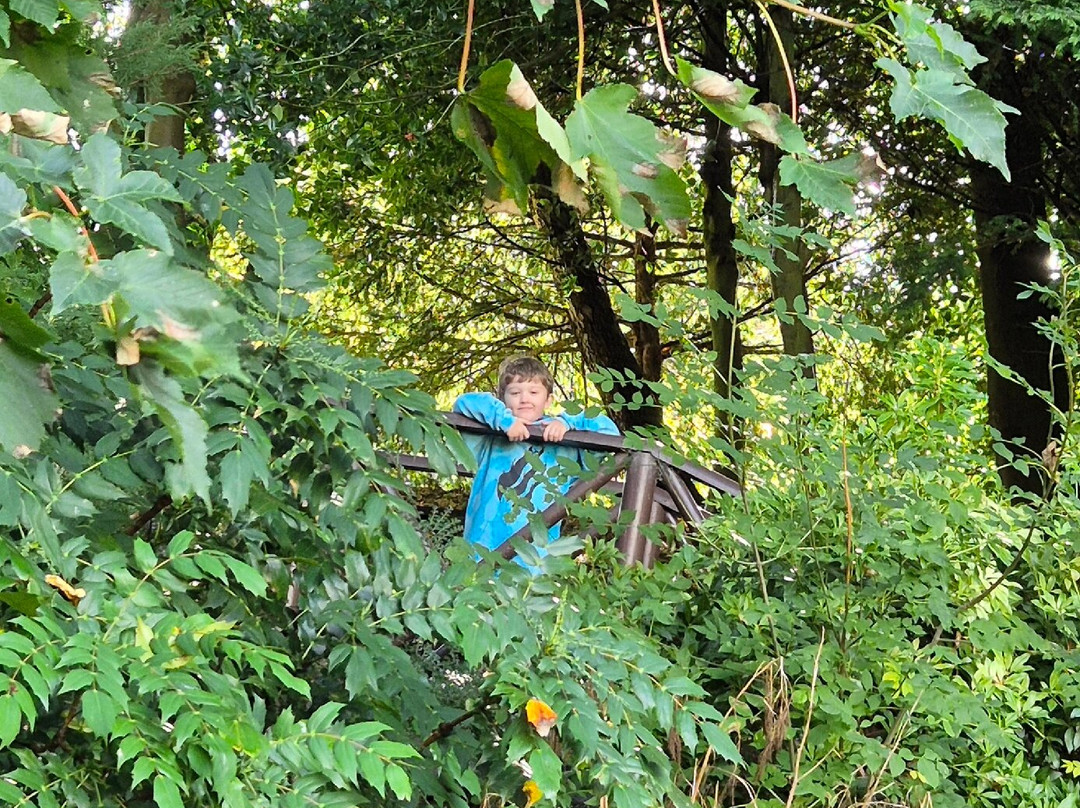 Old Gala House-Galashiels必去景点