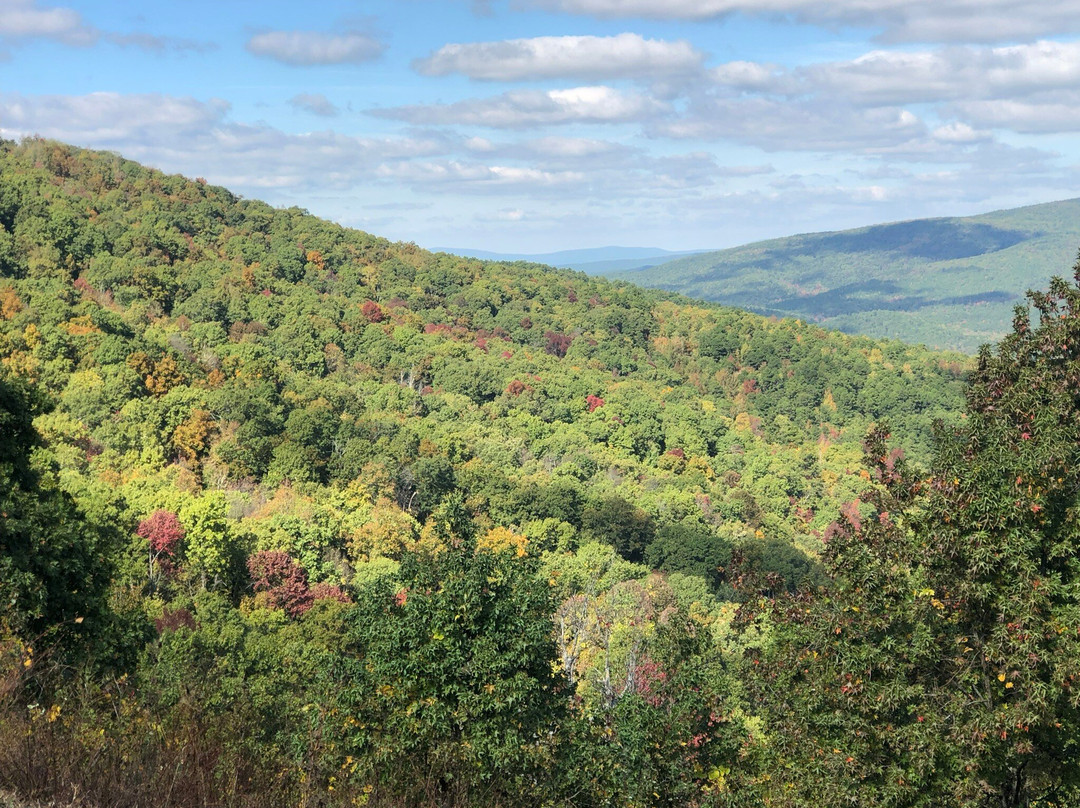 Talimena National Scenic Byway-Talihina必去景点