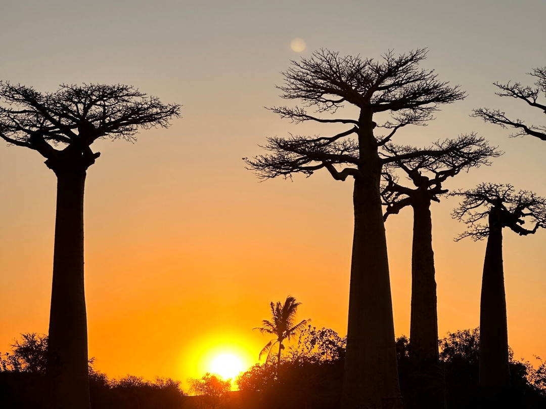 Namiouh Dago tour-安齐拉贝必去景点