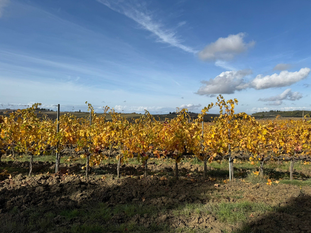 Capitoni Marco Azienda Agraria-皮恩扎必去景点