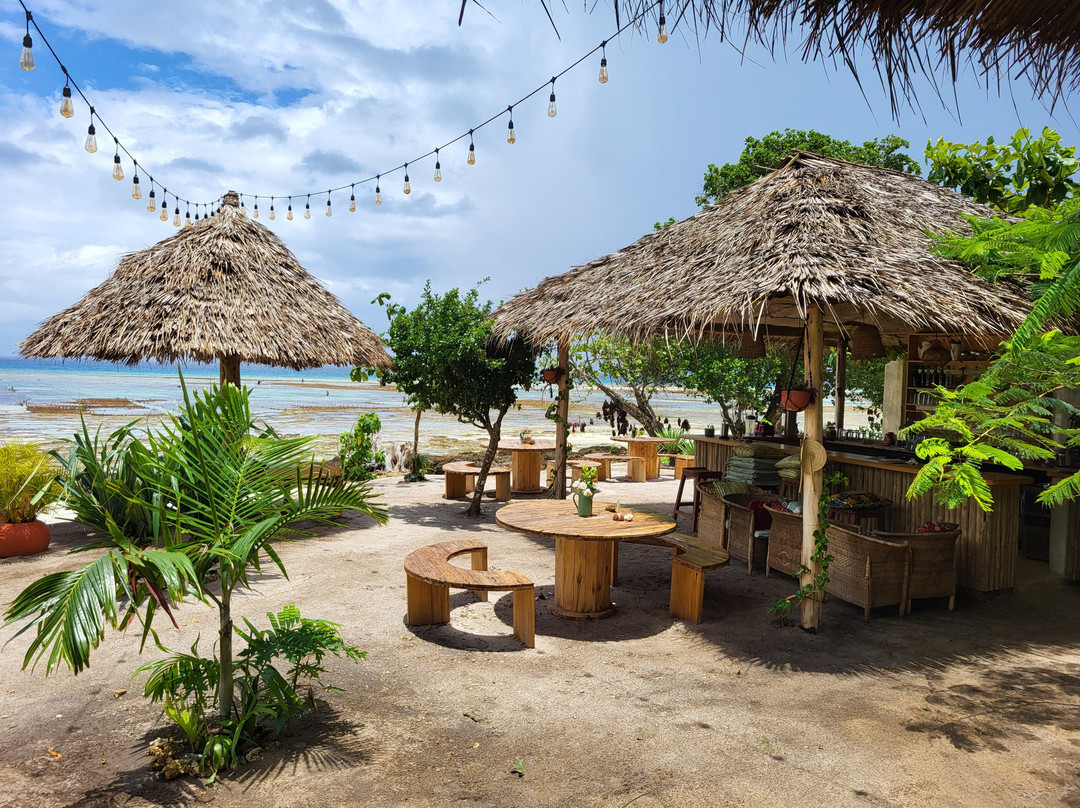 Afro Divers-奔巴岛必去景点