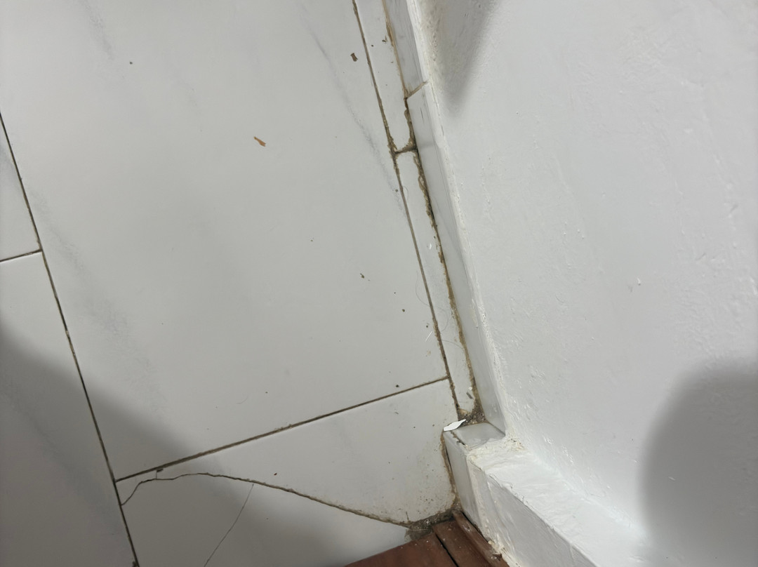 Hostal Restaurante Rufino主图