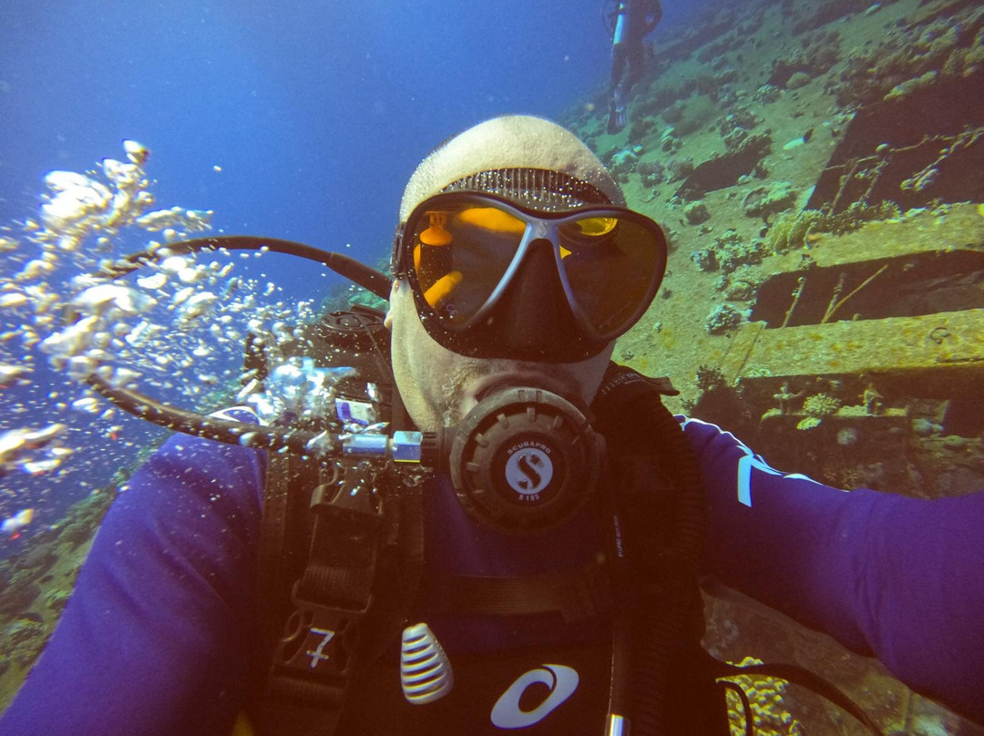 Freedom Divers Safaga-Port Safaga必去景点