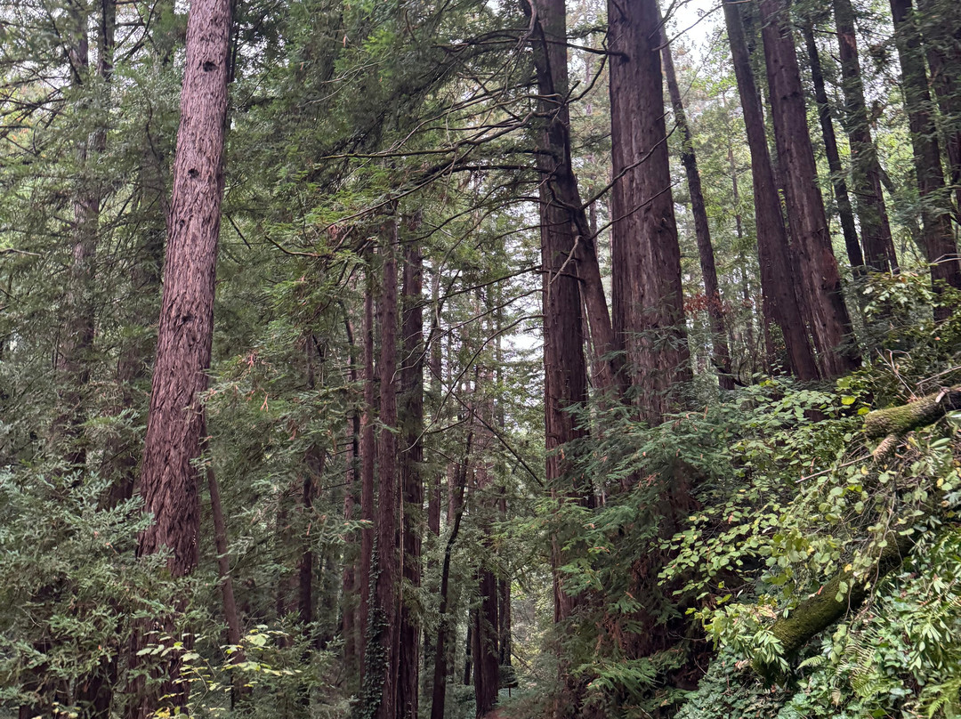 查米纳德度假及酒温泉酒店主图