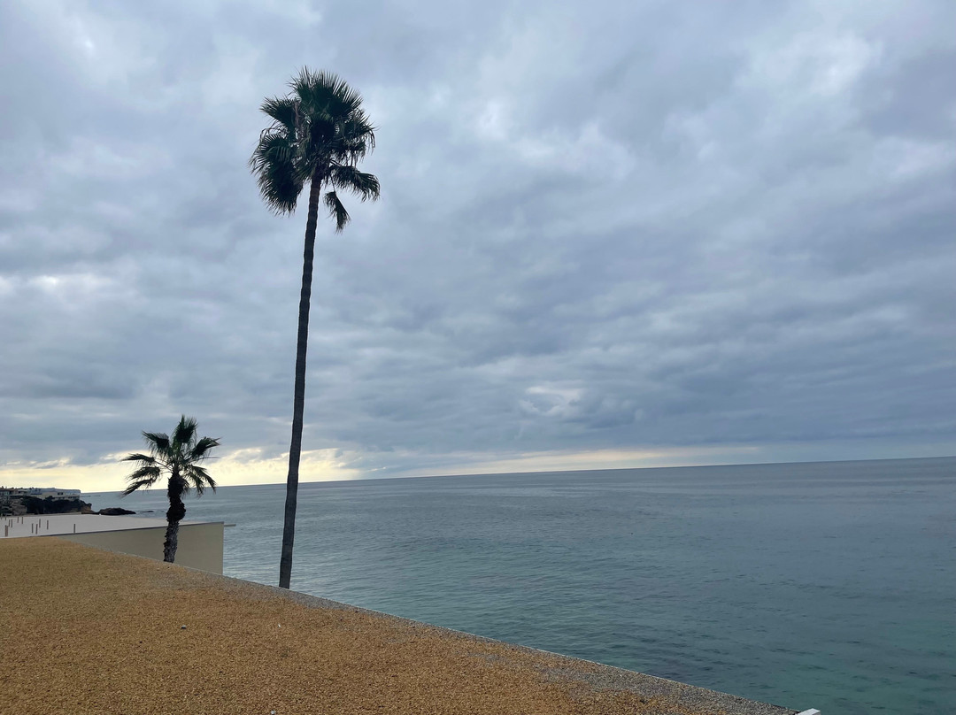 Capri Laguna On The Beach主图