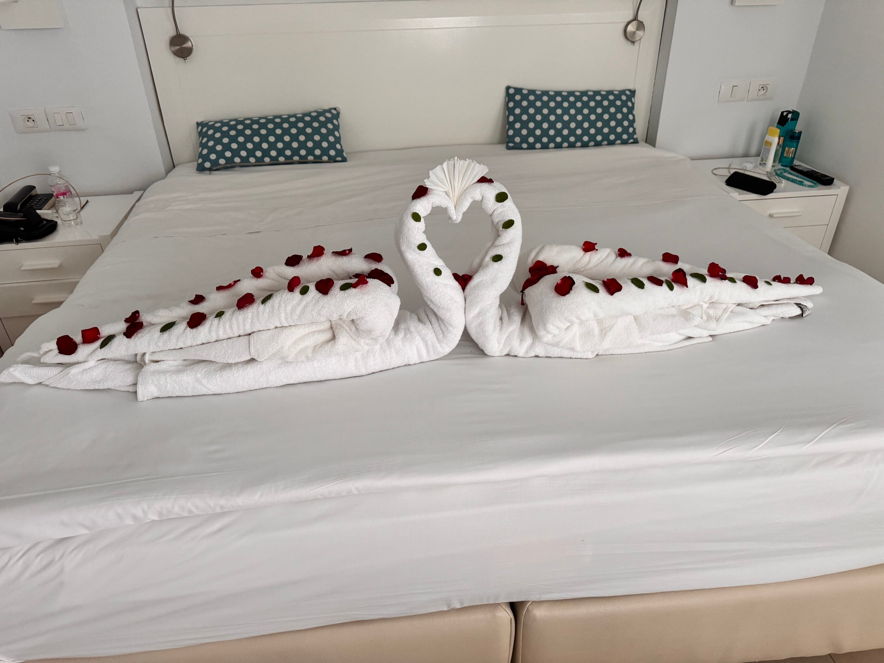 新巴达旅馆-客卧