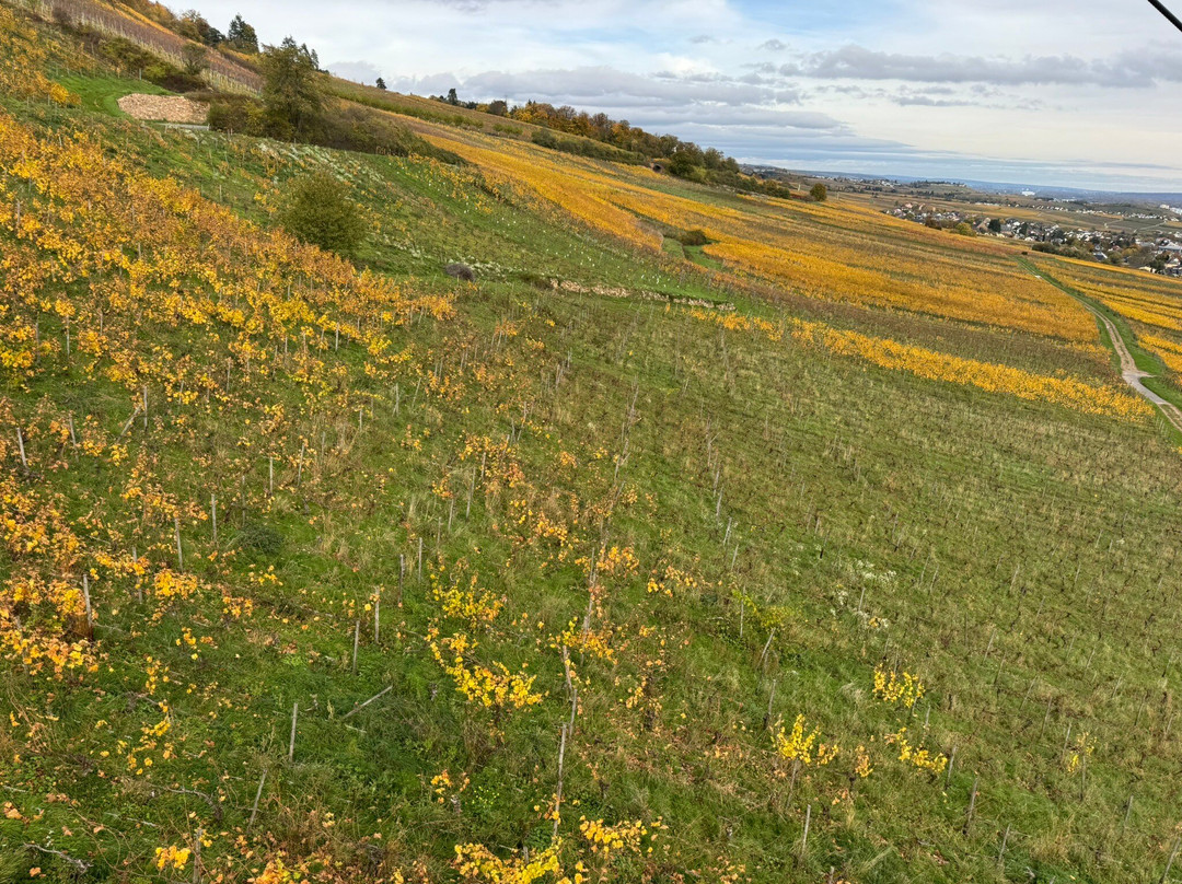 Seilbahn Rudesheim-吕德斯海姆必去景点