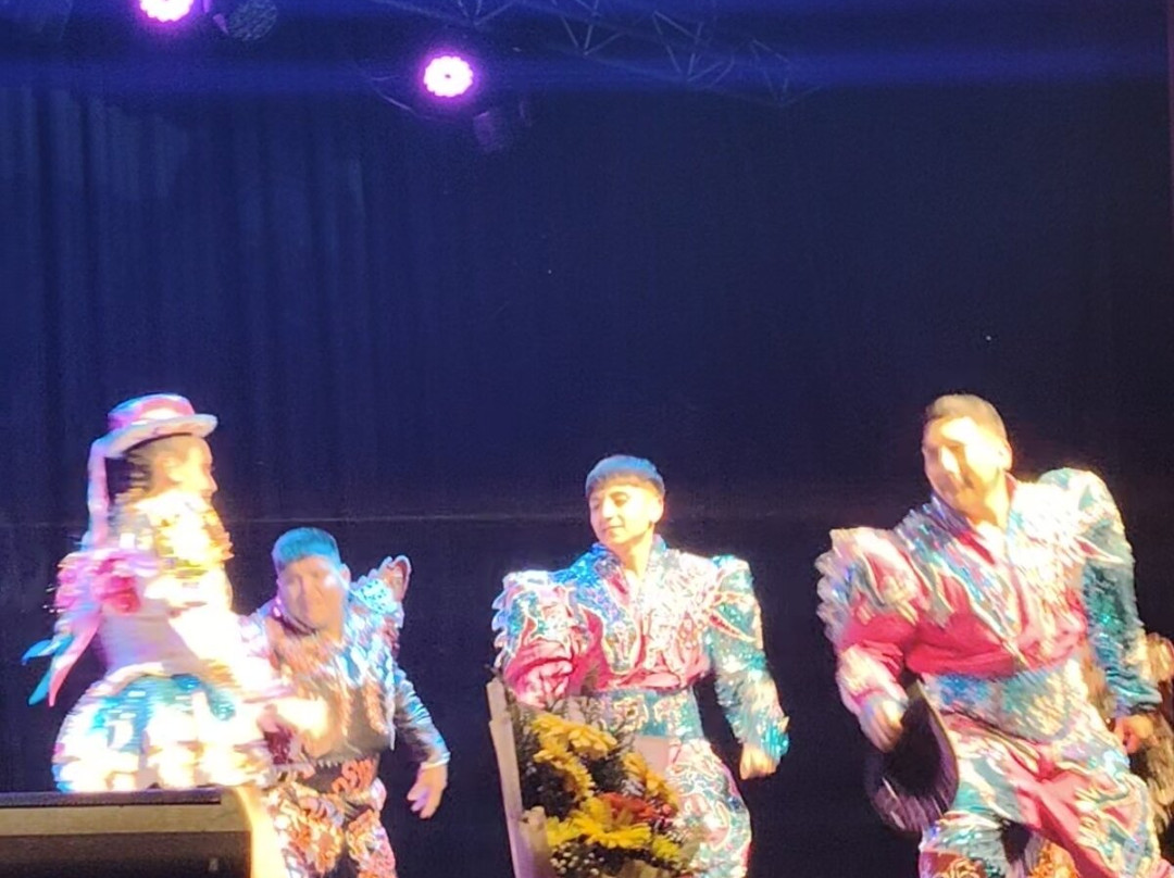 Teatro Municipal-Vicuna必去景点