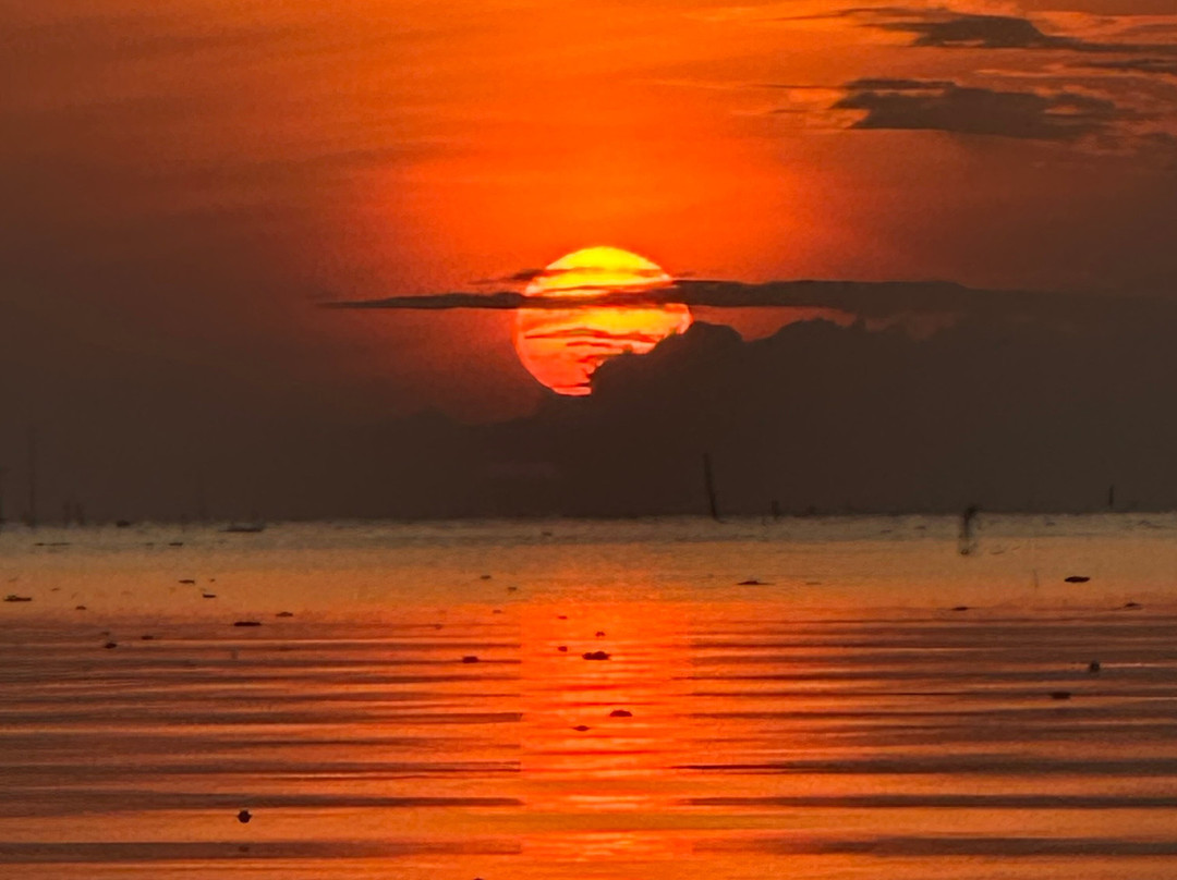 Thale Noi Waterbird Park-博他伦府必去景点