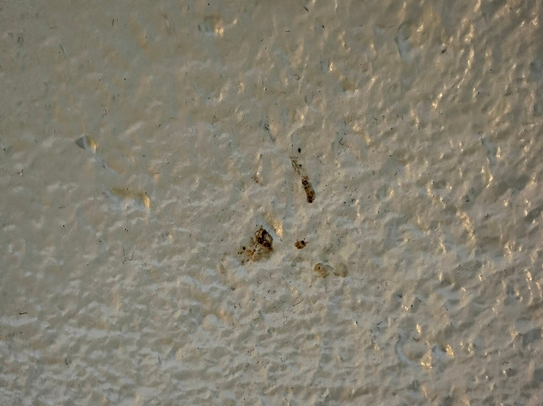 钟楼赛利酒店主图