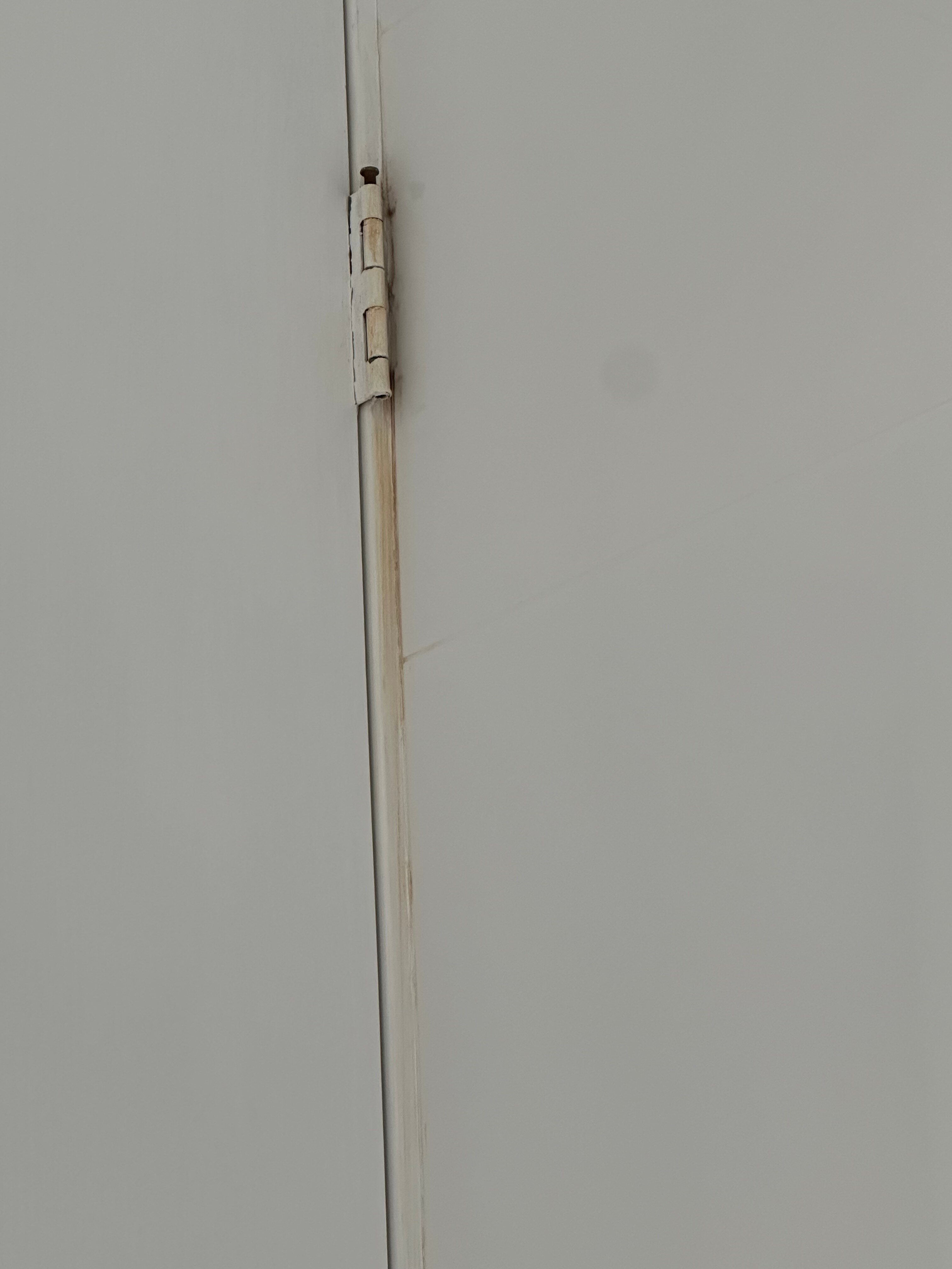 海洋中心酒店-官方