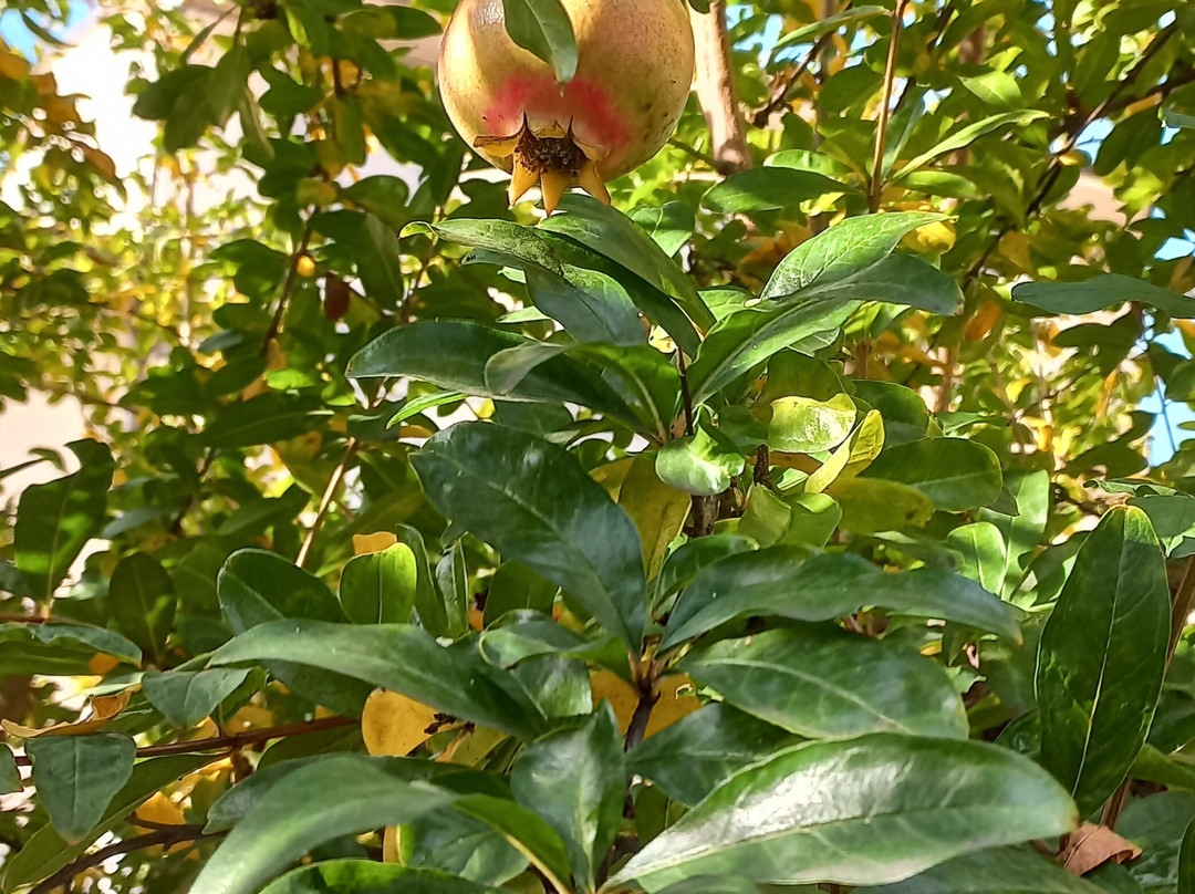 佛罗伦萨康福特住宿加早餐旅馆主图
