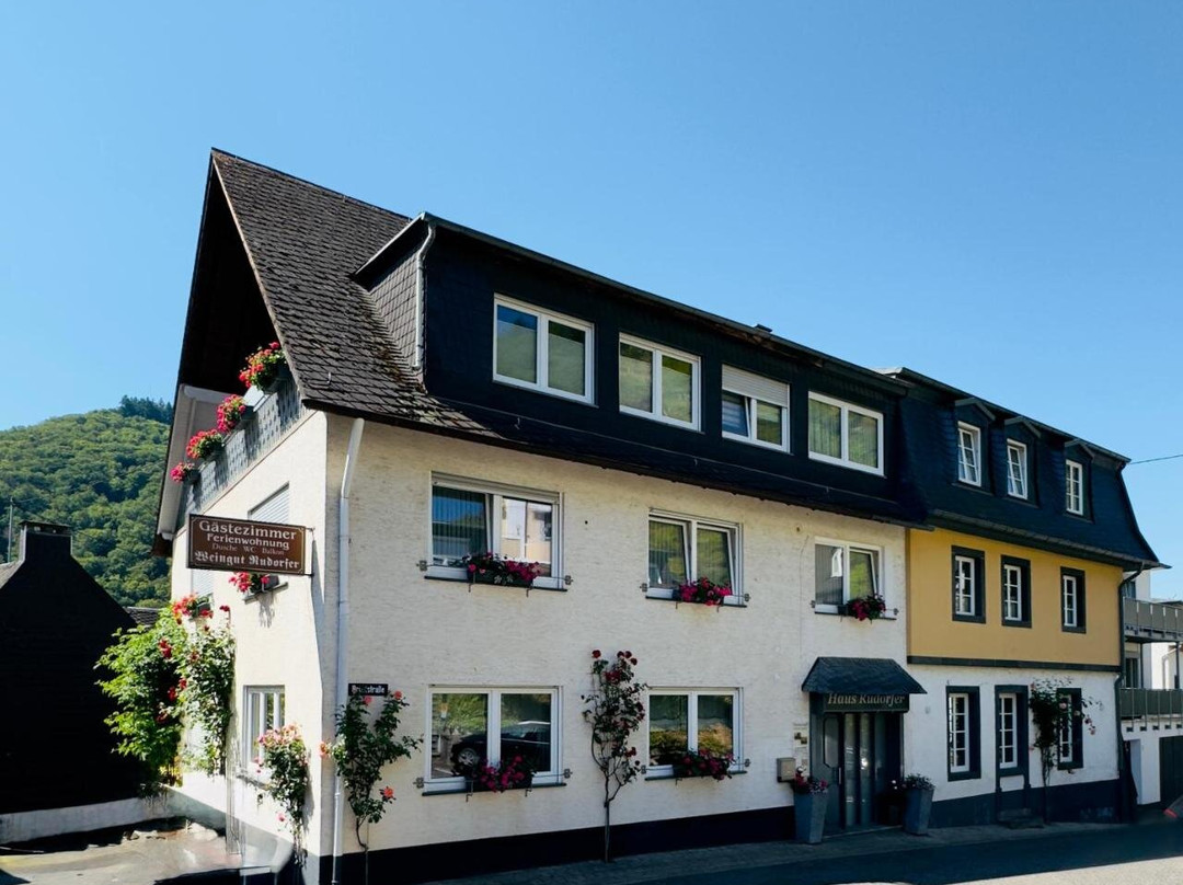 Ferienweingut Friedhelm & Michaela Rudorfer主图