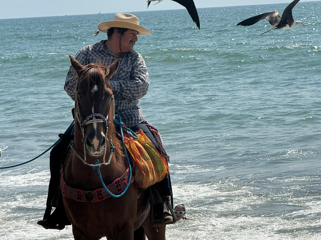 Hotel Palmeras主图