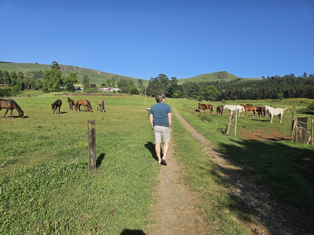 The Oaks at Byrne-官方