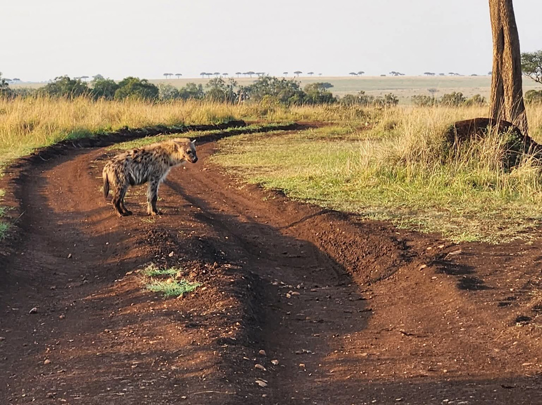 Mamasavana-马林地必去景点