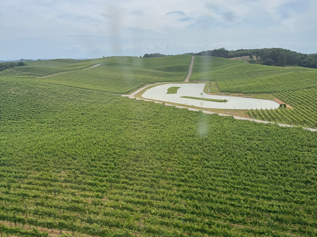 Vinicola Luiz Argenta-Flores Da Cunha必去景点