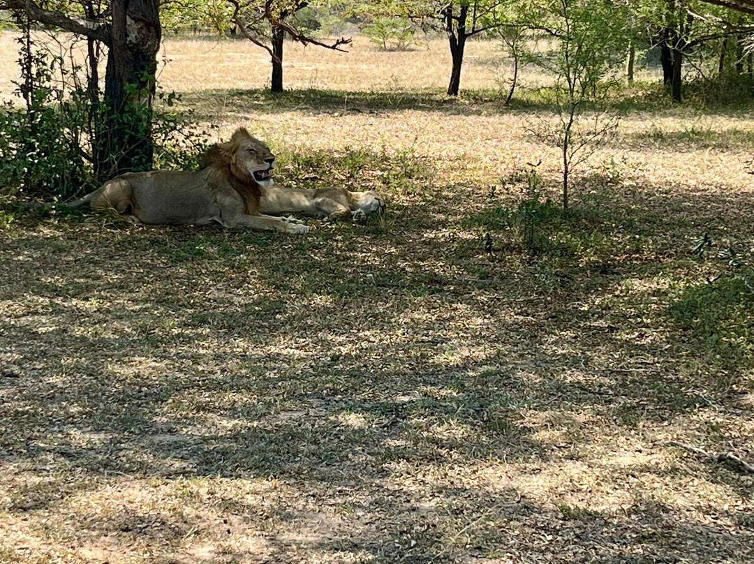 CONNECT AFRICAN SAFARIS-Dar es Salaam必去景点