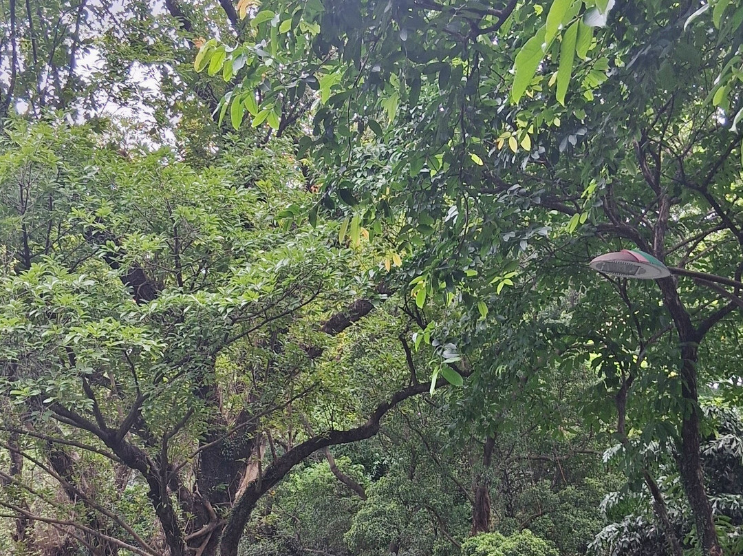 越秀公园-广州市必去景点