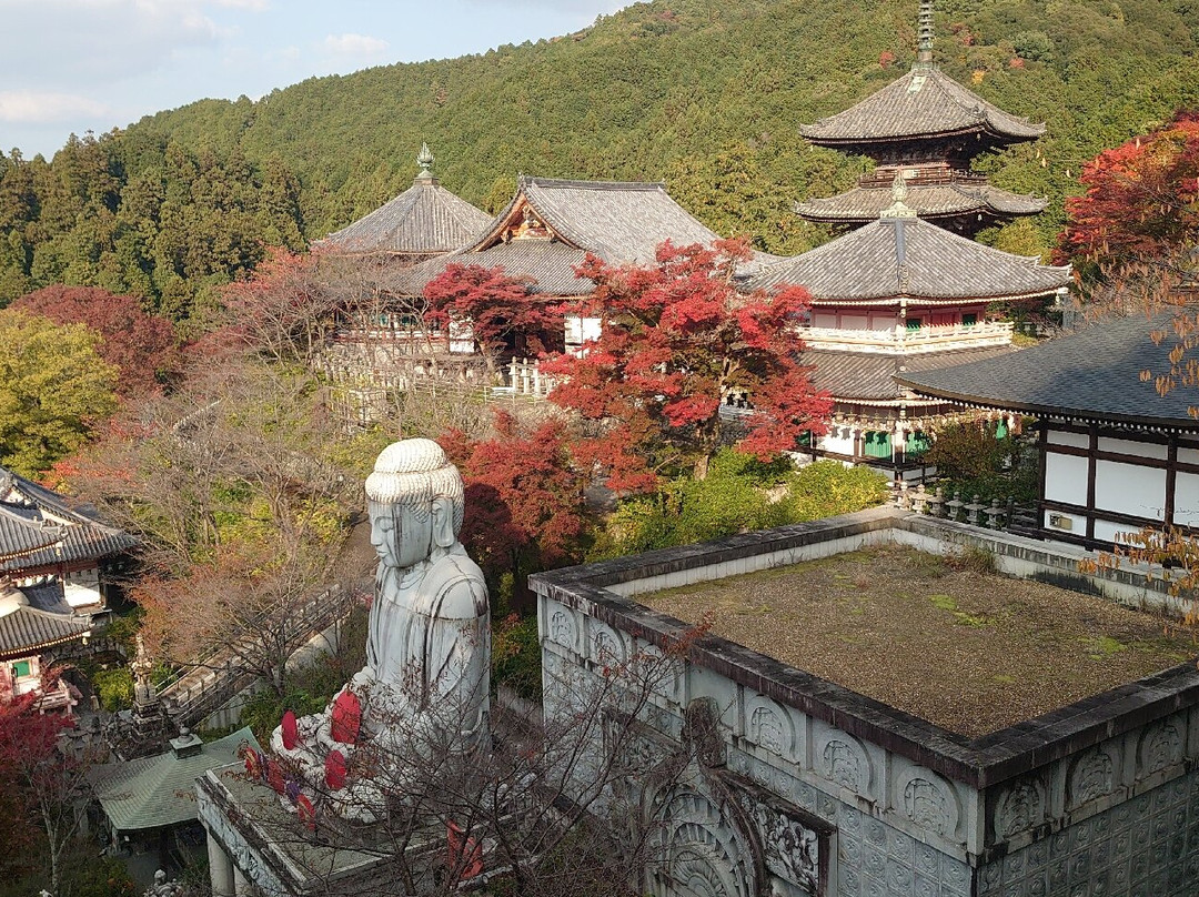 Tsubosaka-dera Temple-高取町必去景点