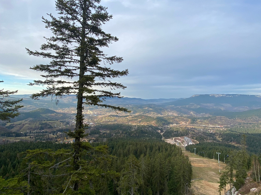 Ski Centar Ravna Planina-Pale必去景点