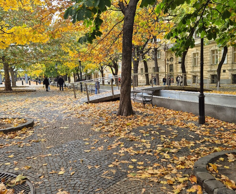 Fontana Hviezdoslavovo Namestie-Namestovo必去景点