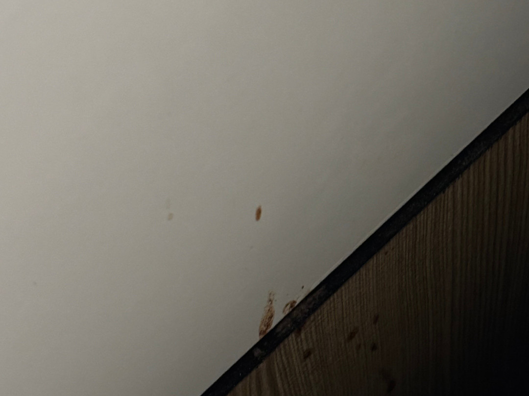 SpringHill Suites by Marriott Birmingham Colonnade/Grandview主图