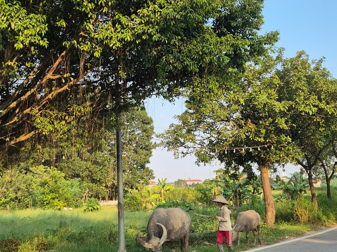 Ba Vi National Park-河内必去景点