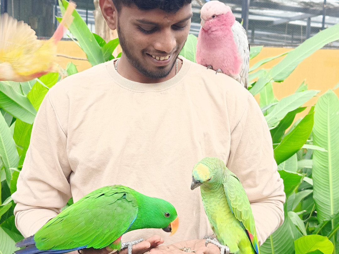 Fundera Park-Yelagiri必去景点