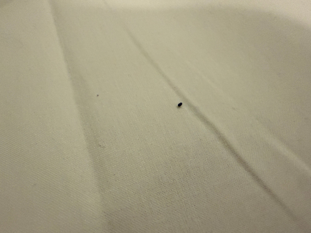 Trip Inn Conference, Hotel & Suites主图